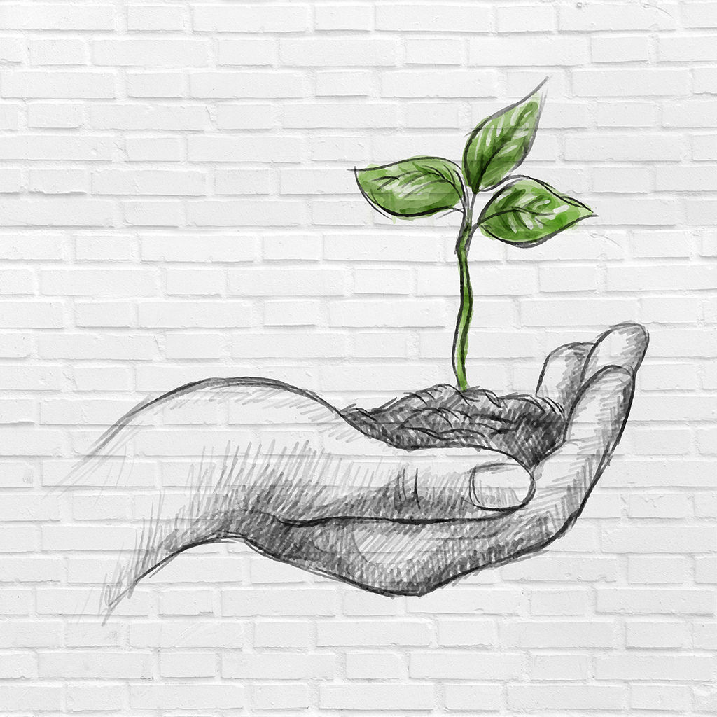 5 Things You Can Do to Help the Environment – CCHS Oracle