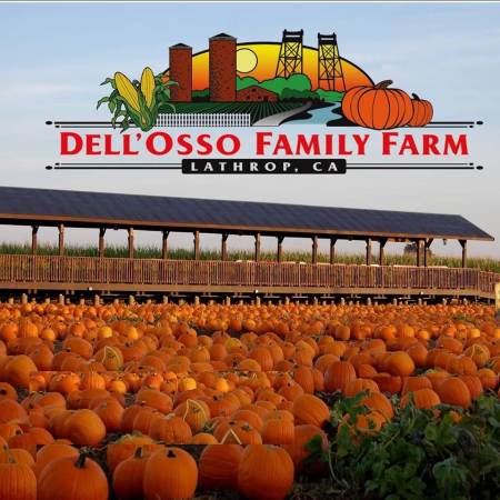 Dell’Osso Family Farm Pumpkin Patch