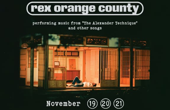 My Experience at the Rex Orange County Concert